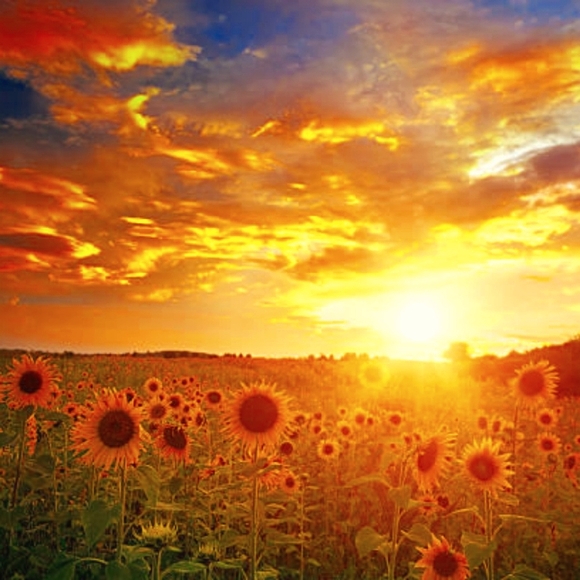 🥰🙏🏾🥳Gratitude for 68k🥰🙏🏾🥳 - Picture 3 of 4